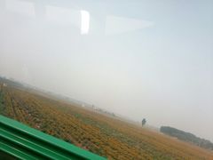 -鲜佰汇海鲜烤肉自助餐厅(银座商城泰安店)