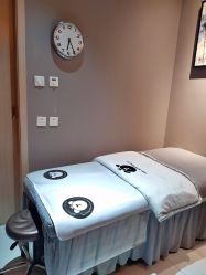 -三只熊皮肤管理中心