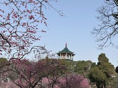 -无锡梅园公园
