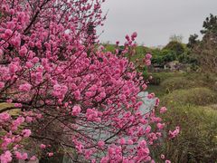 -盘门景区