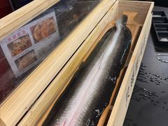 -银座苑烧肉酒场·烤活鳗(仙霞路店)
