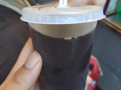 -罗汉果龙眼冰糖燉冬瓜