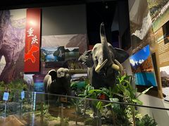 -长江文明馆