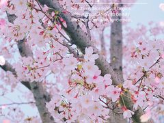-龙美术馆(西岸馆)