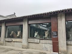 -康百万庄园