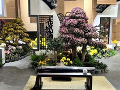 -杭州植物园