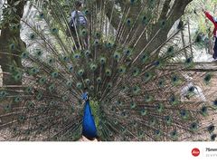 -泉州海丝野生动物世界