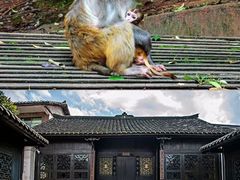 -天河潭旅游度假区