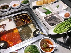 捞派毛肚-海底捞火锅(高新活力汇店)