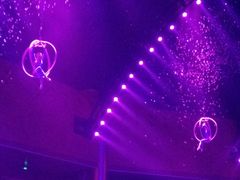 -珠海横琴长隆《卡卡虎奇遇记》