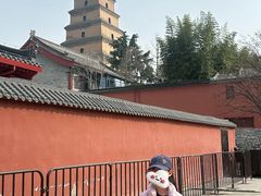 -大慈恩寺(大雁塔)