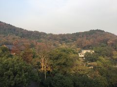 -杭州花家山庄