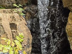 -秋霞圃