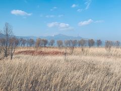 -野鸭湖国家湿地公园