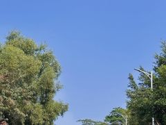 -火炉山森林公园