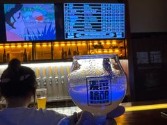 -麦落精酿啤酒餐吧(先农大院店)