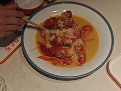 -杨氏青龙虾·羊蝎子(托乐嘉店)