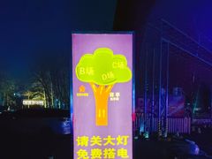 -枫花园汽车电影院(朝阳公园店)