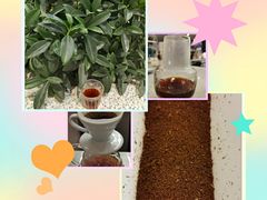 -1/4 ONE QUARTER COFFEE LAB(朝阳大悦城店)