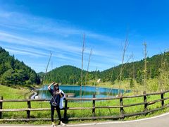 -武陵山森林公园