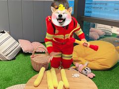 -BossBabe亲子餐厅(金光华广场店)