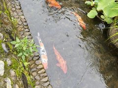 -前童古镇