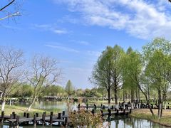 -沙家浜风景区