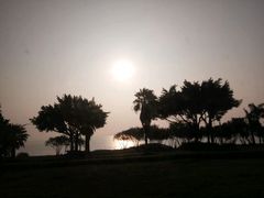 -马拉桑果汁(龙头路总店)