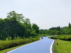-宜兴龙背山森林公园