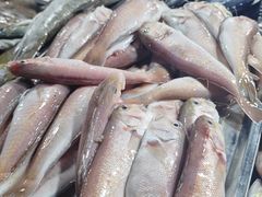 -鸿港海鲜批发市场