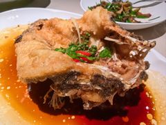 -侨美食家·粤菜(体育西路店)