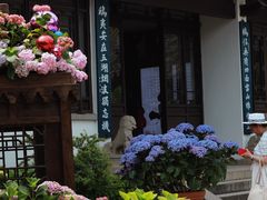 -无锡蠡湖国家湿地公园-蠡园