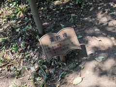 -上海佘山国家森林公园天马山园