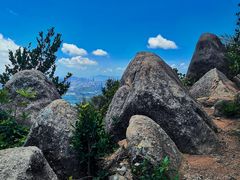 -阳台山森林公园