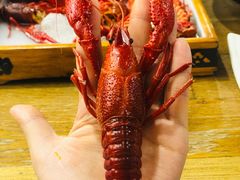 -旺小胖小龙虾