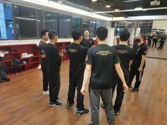 -温鉴良实用咏春拳