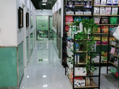 -欧奕国际动物医院