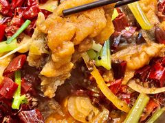 -老板恋上鱼(印象城店)