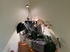 -本無咖啡·BeanWood Coffee