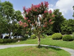 -狼山风景名胜区