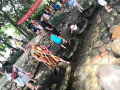 -成都市活水公园