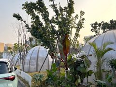 -悦见花开·花园里的火锅·露营·下午茶
