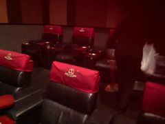 -万达影城(汉街万达广场IMAX店)