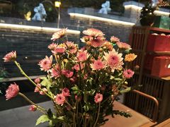 -花锦堂·隐庐