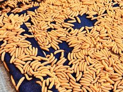 -西双版纳集贸市场