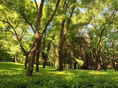 -元大都城垣遗址公园