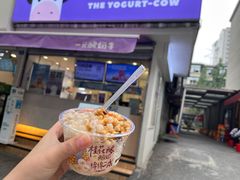 -一只酸奶牛(奎星楼店)