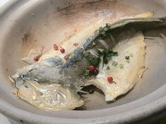 红胡椒海钓小黄鱼-蘇锦宴·淮扬菜烤鸭·小院(三元桥霄云路店)