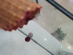 蓝莓雪糕-芭克·闪冰(正佳广场店)