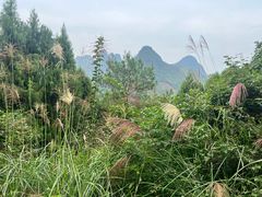 -61号餐吧(兴坪古镇漓江店)